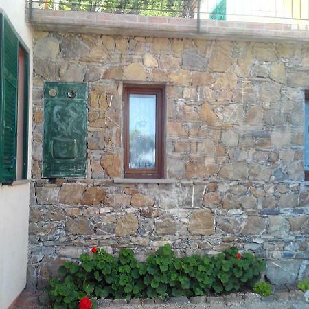 卡萨察利古勒Olivella Caminata N 41G公寓 外观 照片