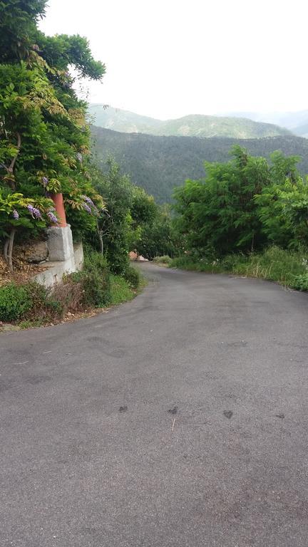卡萨察利古勒Olivella Caminata N 41G公寓 外观 照片