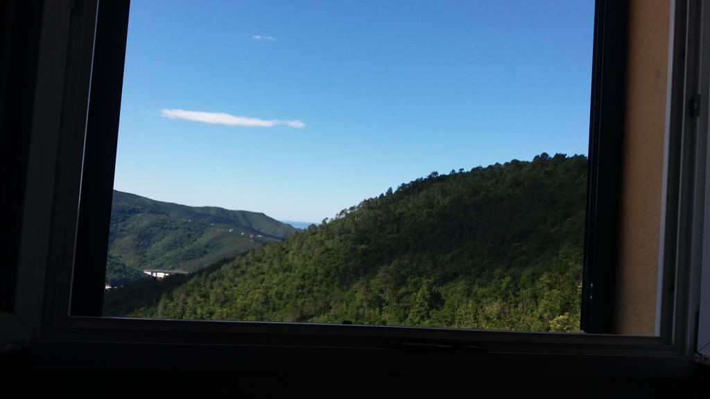 卡萨察利古勒Olivella Caminata N 41G公寓 外观 照片