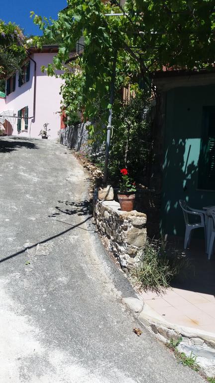 卡萨察利古勒Olivella Caminata N 41G公寓 外观 照片