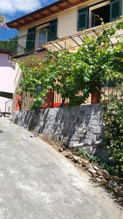 卡萨察利古勒Olivella Caminata N 41G公寓 外观 照片